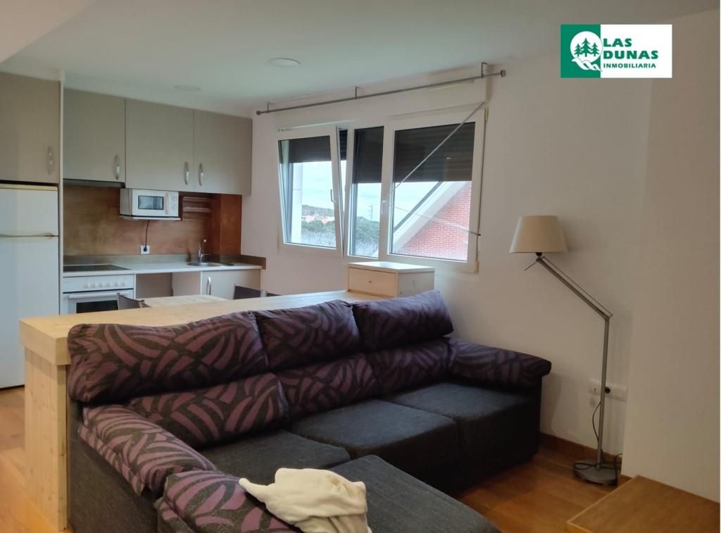Sala d'estar de Dúplex de lloguer en Santa Cruz de Bezana amb Calefacció, Parquet i Terrassa