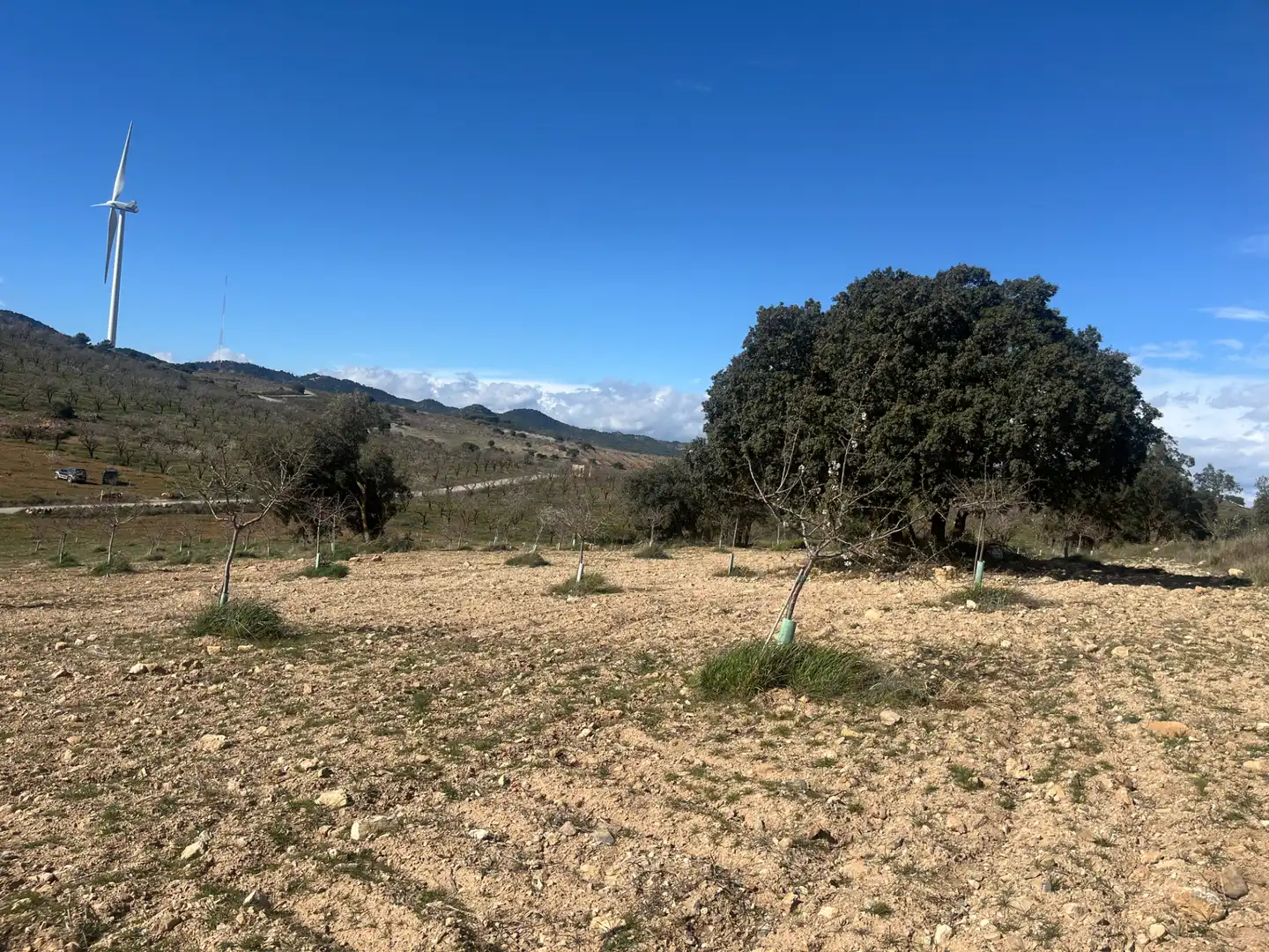 Rustikales Grundstück zum Verkauf in Camino de la Sierra, imagen 21