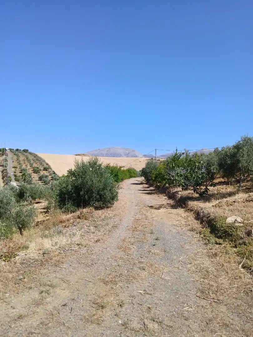 Terreno en venta en N/A, Álora