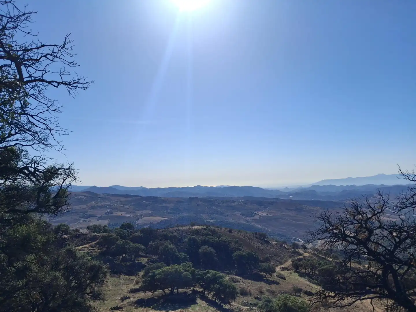 Terreni e lotti in vendita a Villanueva de la Concepción, imagen 4