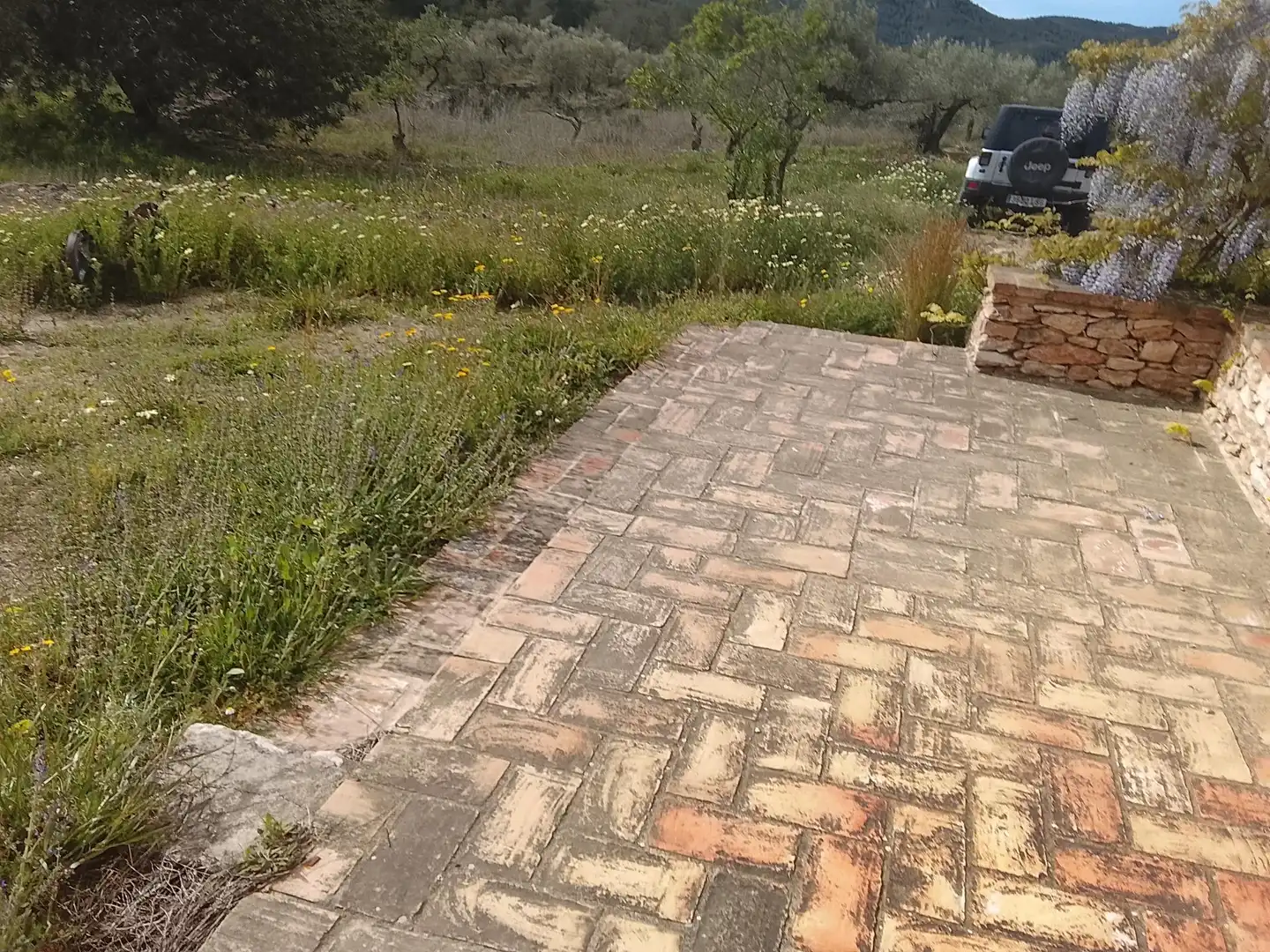 Casa rustica in vendita a Polígono 56 Paraje 586 PLANA DEL LLORELL, imagen 15