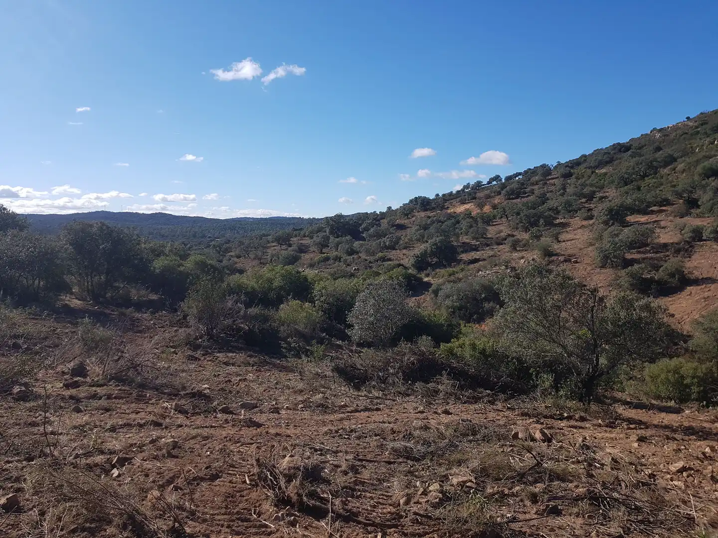 Residential for sale in El Ronquillo