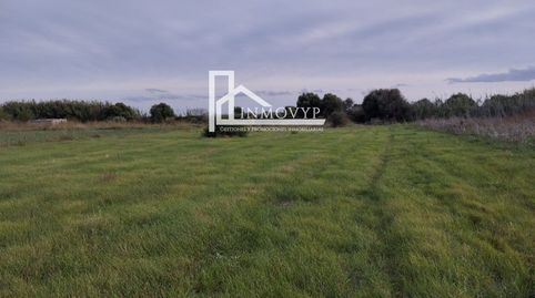 Foto 2 de Finca rústica en venta en Poligono 14. 311, 312, 313, Sa Pobla, Illes Balears