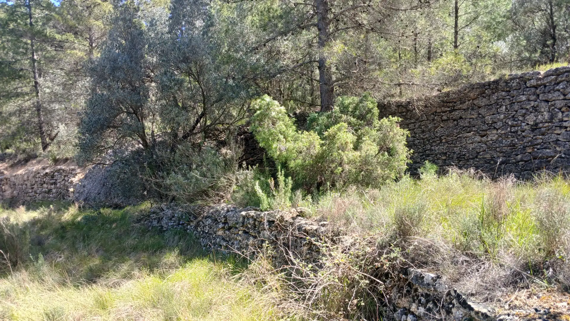 Terreno en venta en Fórnoles