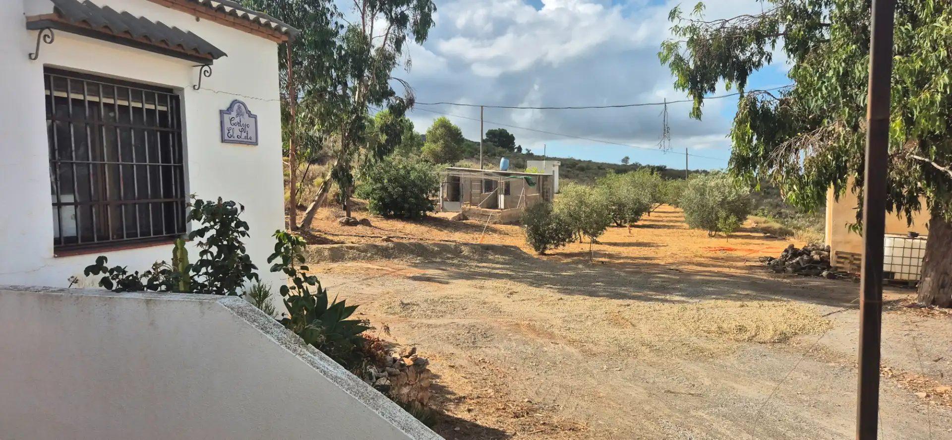 Terrain rustique à vendre à Alcolea, imagen 16