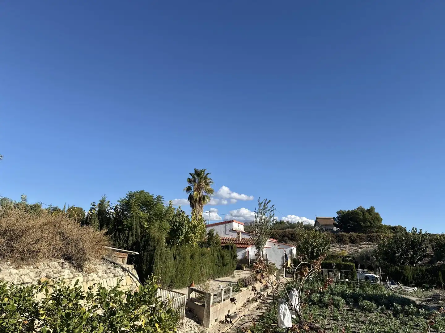Jardín de Casa o chalet en venta en Novelda con Calefacción, Terraza y Piscina