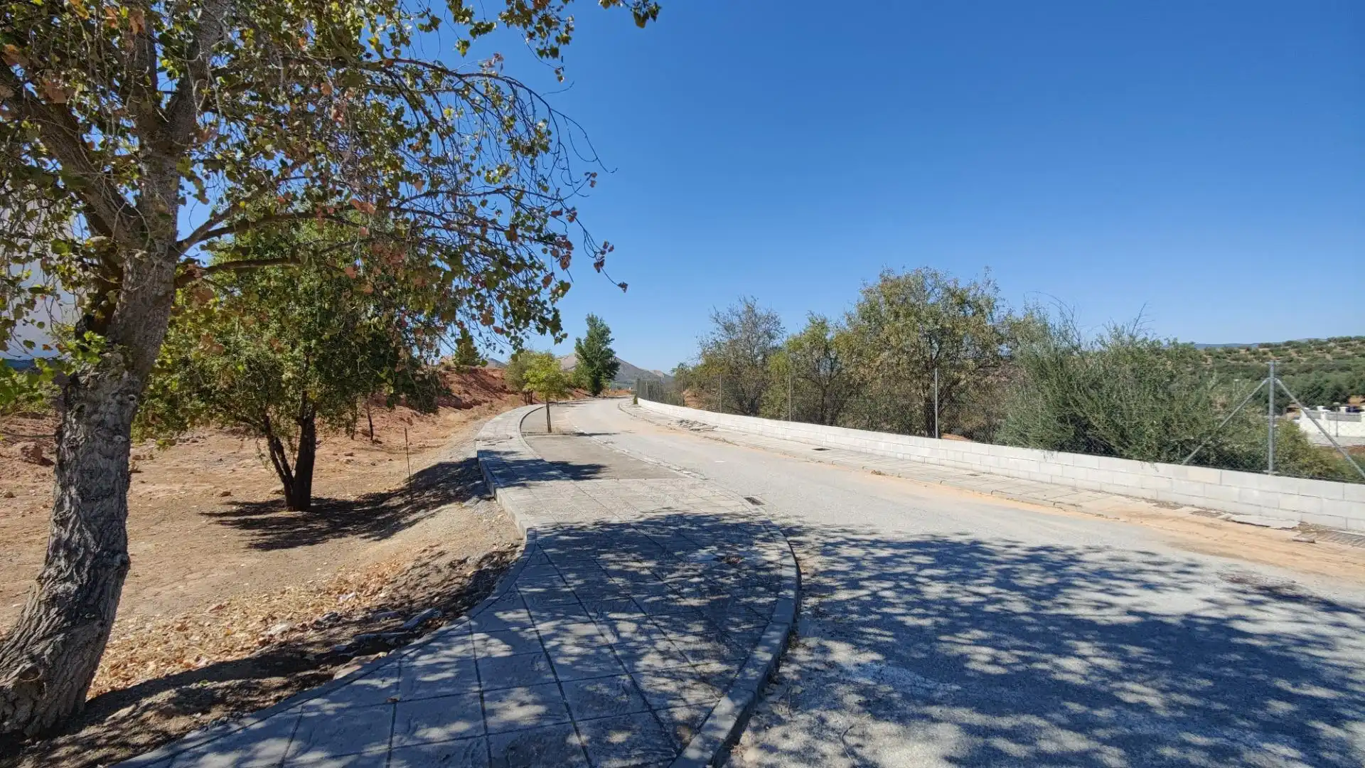 Terrenos y solares en venta en Centro de Albolote, imagen 12