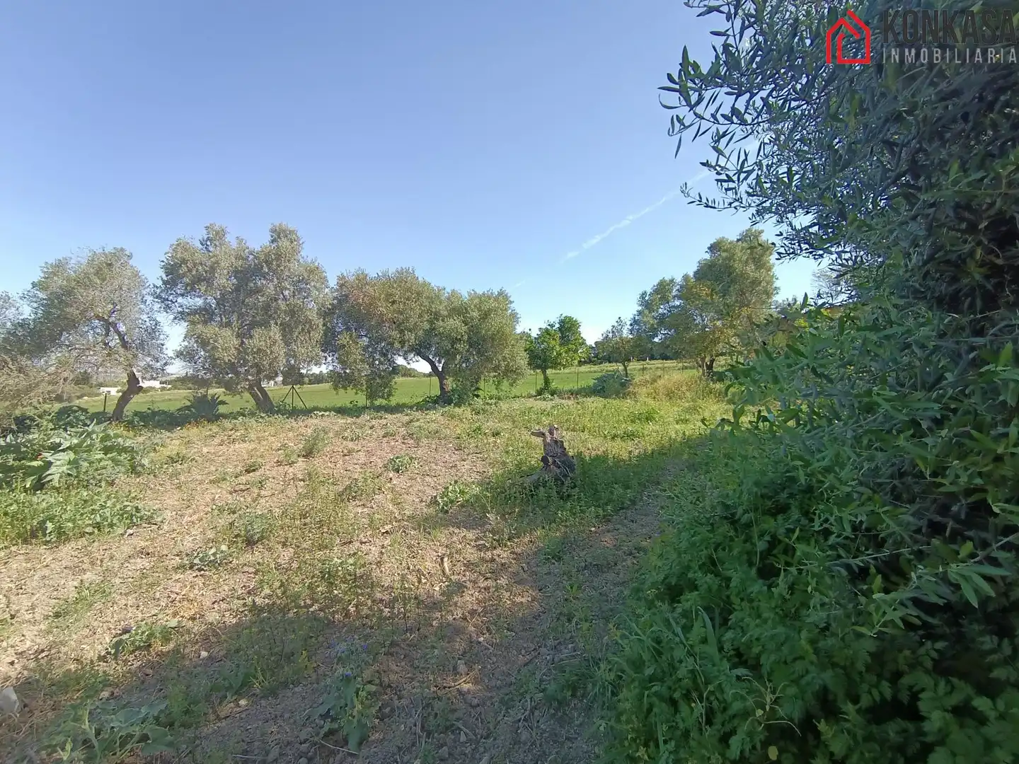 Casa rústica en venda a Arcos de la Frontera, imagen 31