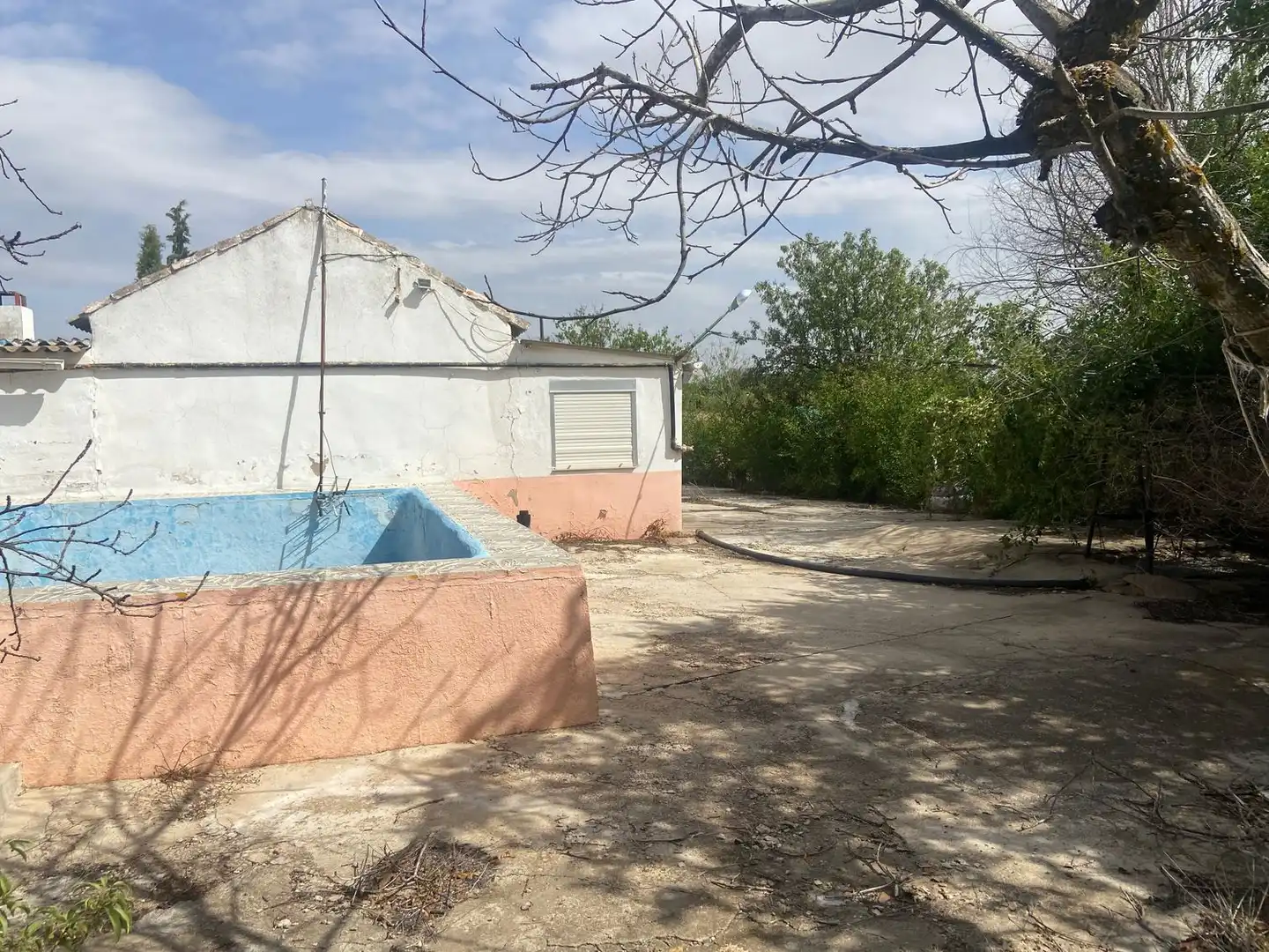 Jardín de Casa o chalet en venta en Argamasilla de Calatrava con Jardín privado, Terraza y Trastero
