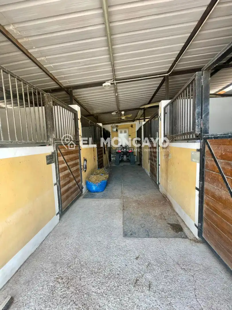 Casa con piscina en venta en Dolores, imagen 32