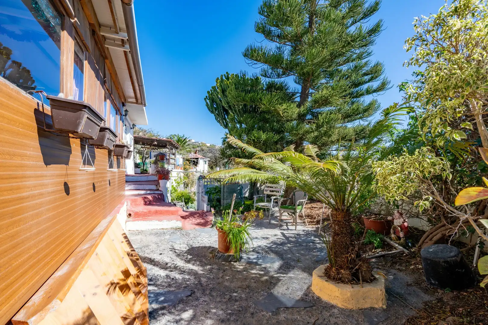 Vista exterior de Finca rústica en venda en Güímar amb Jardí privat, Terrassa i Moblat