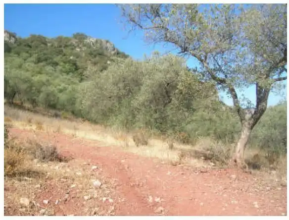 Terreny residencial en venda a Periana, imagen 2
