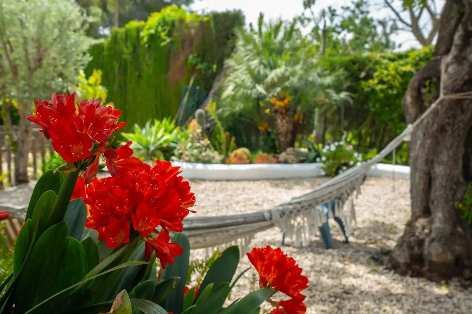 Jardí de Casa o xalet en venda en Jávea / Xàbia amb Aire condicionat, Calefacció i Jardí privat