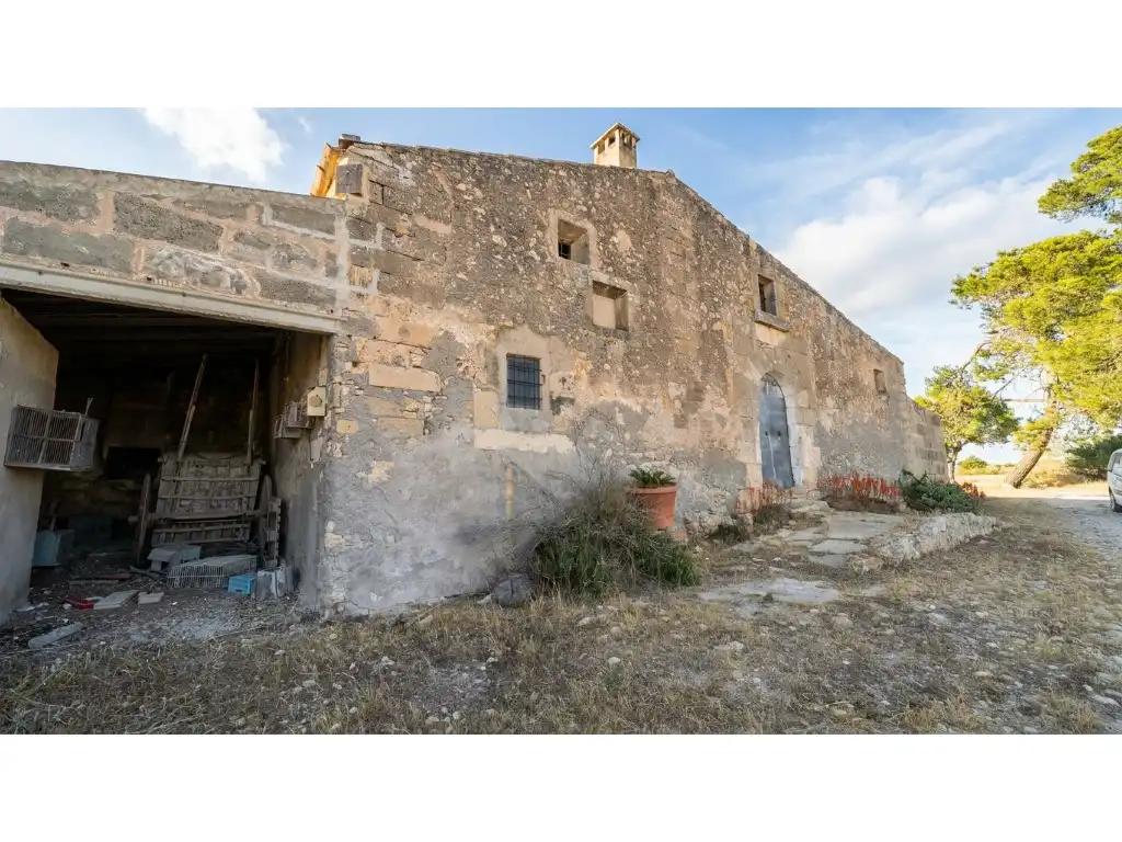 Vista exterior de Casa o chalet en venta en Ariany con Jardín privado y Terraza