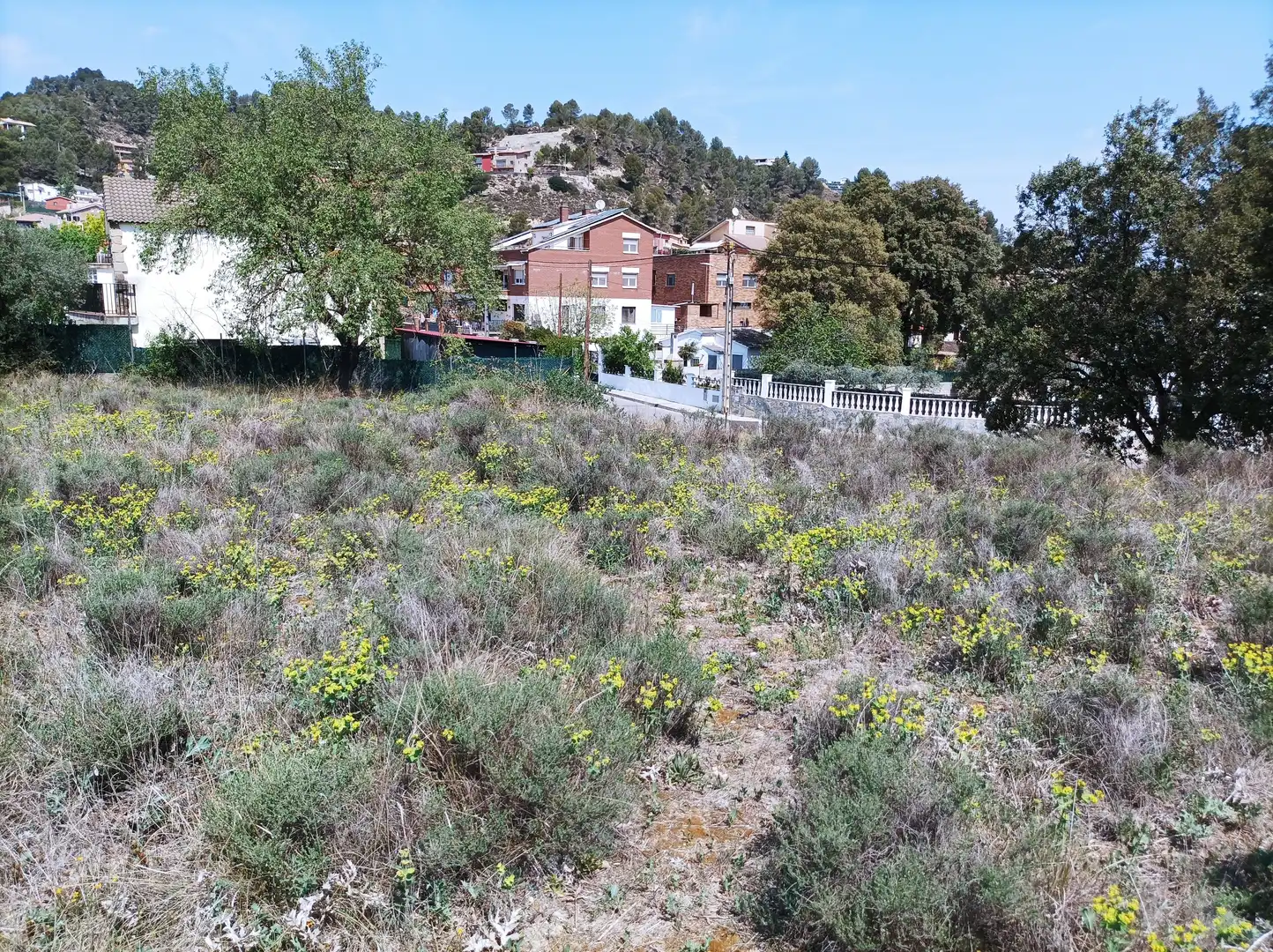 Terreno residencial en venta en Castellgalí, imagen 2
