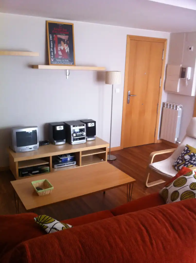 Sala d'estar de Apartament de lloguer en Zaragoza amb Calefacció, Parquet i Moblat