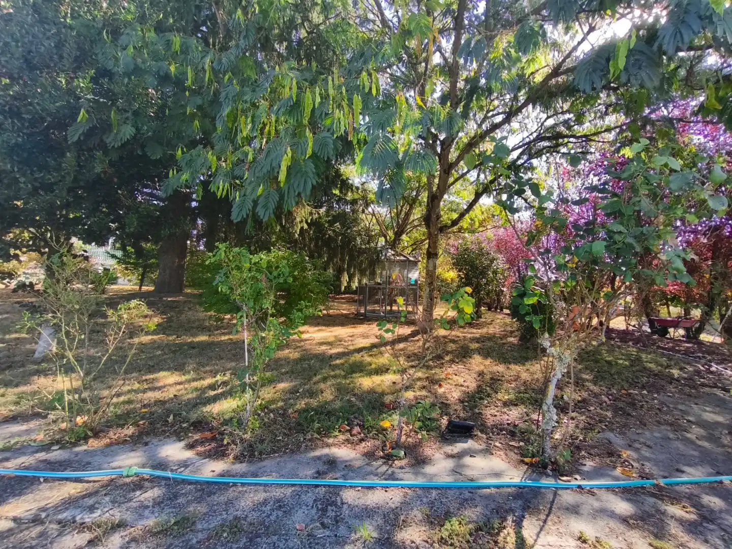 Chalet con terraza en venta en Coles, imagen 49