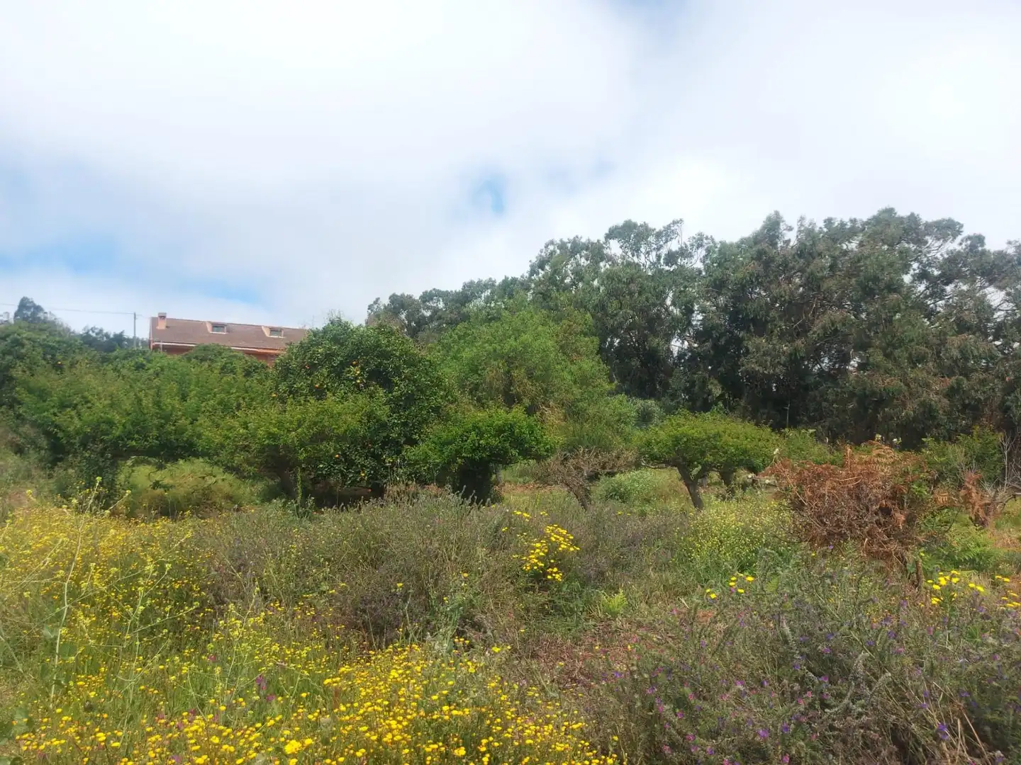Finca rústica en venta en El Rosario con Jardín privado, Terraza y Alarma