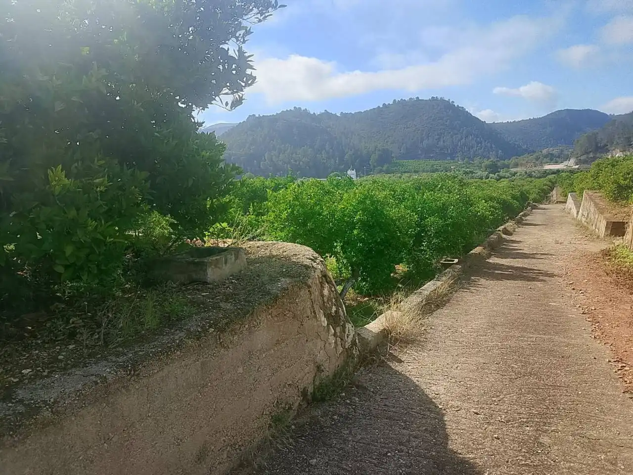Exterior view of Land for sale in L'Atzúbia