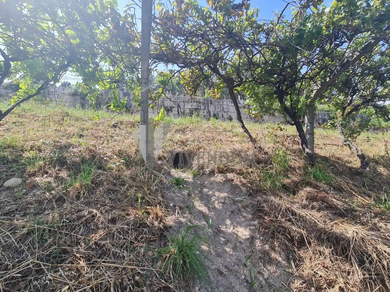 Rural land for sale in Arbo, imagen 7