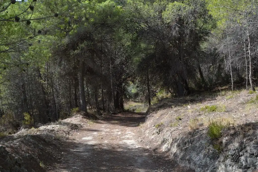 Terrenos y solares en venta en El Castell de Guadalest, imagen 2