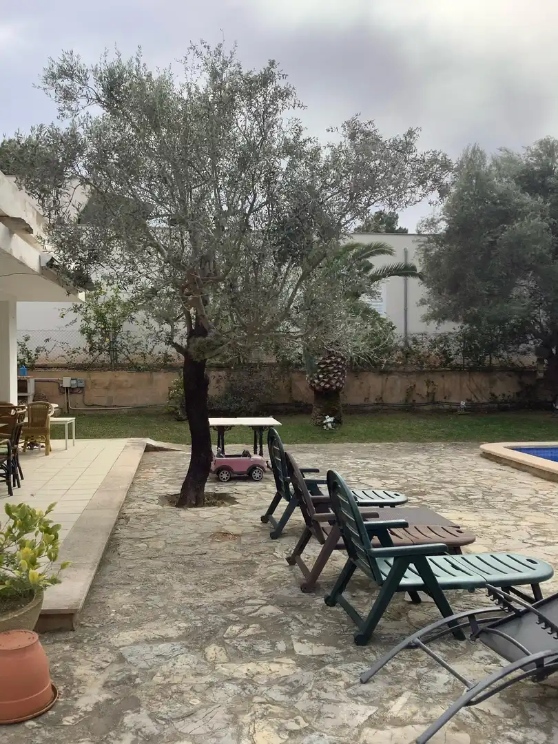 Garden of Houses for sale in Calvià  with Private garden, Terrace and Storage room
