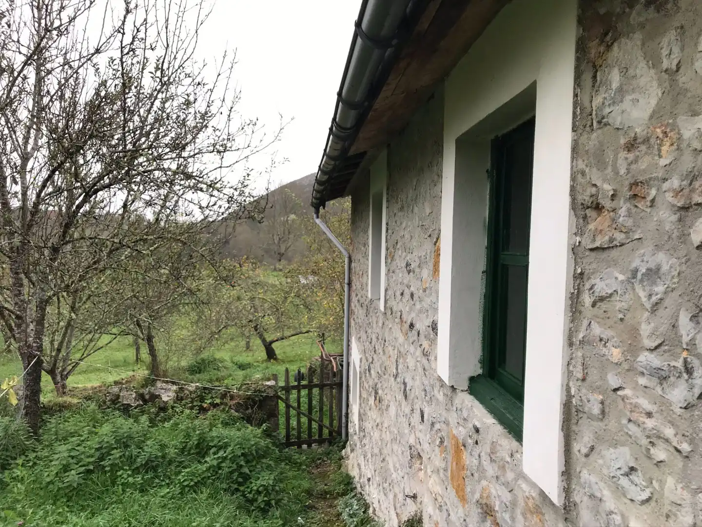 Vista exterior de Casa o xalet en venda en Cangas de Onís amb Jardí privat i Traster