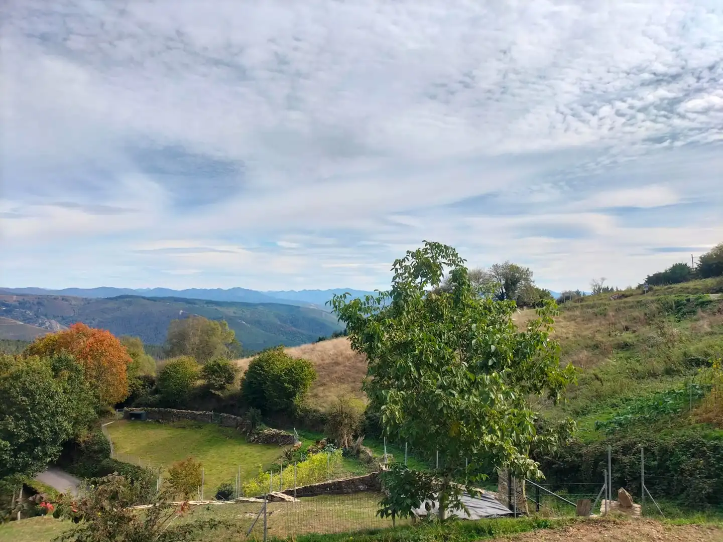 Jardí de Casa adosada en venda en A Fonsagrada  amb Jardí privat, Moblat i Balcó