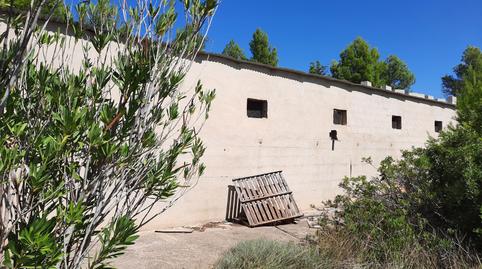 Photo 4 of Industrial buildings for sale in Turís, Valencia