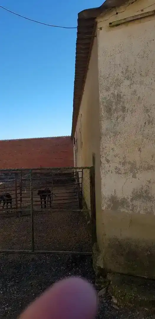 Vista exterior de Finca rústica en venda en Castrogonzalo amb Traster, Moblat i Rentadora