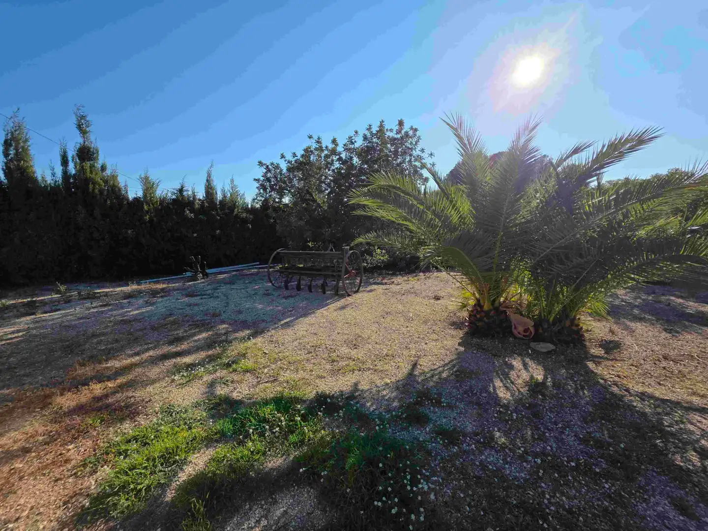 Jardín de Casa o chalet en venta en Valls con Jardín privado y Piscina