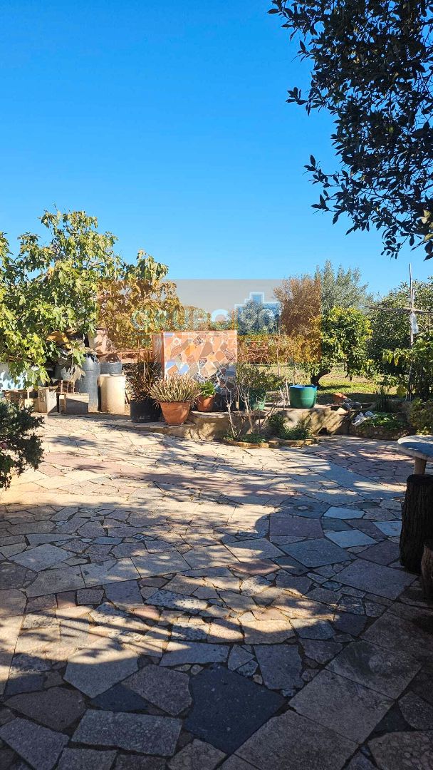 Jardí de Casa o xalet en venda en Náquera amb Terrassa, Piscina i Balcó