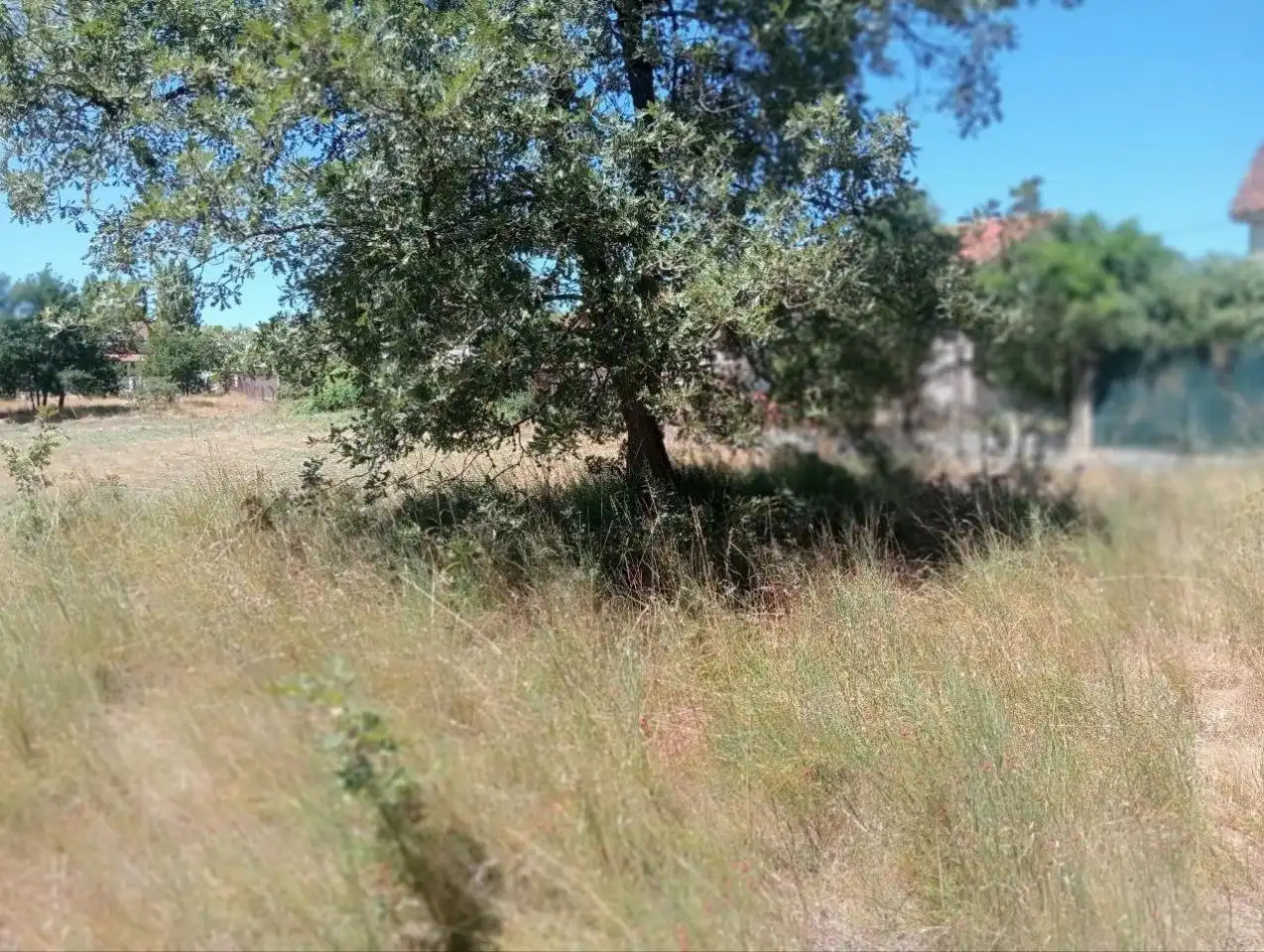 Grundstücke zum Verkauf in Ourense Capital 