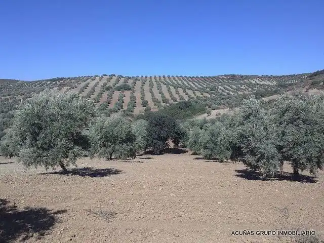 Lands and plots for sale in Bobadilla - Bobadilla Estación - La Joya, imagen 7