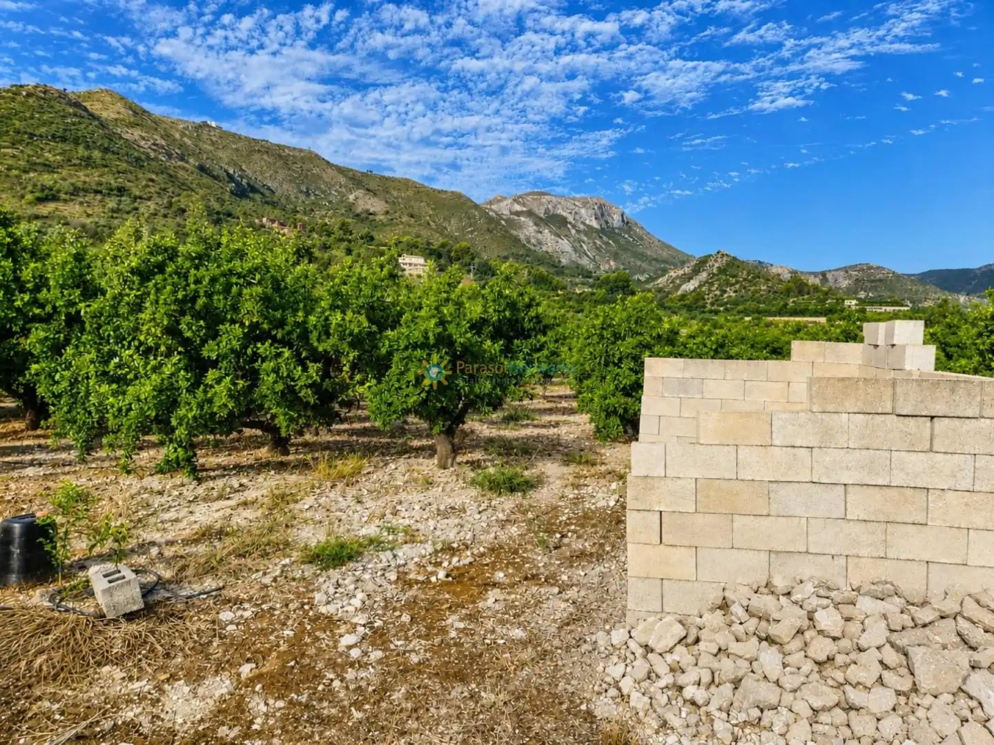 Rural land for sale in Pego, imagen 10