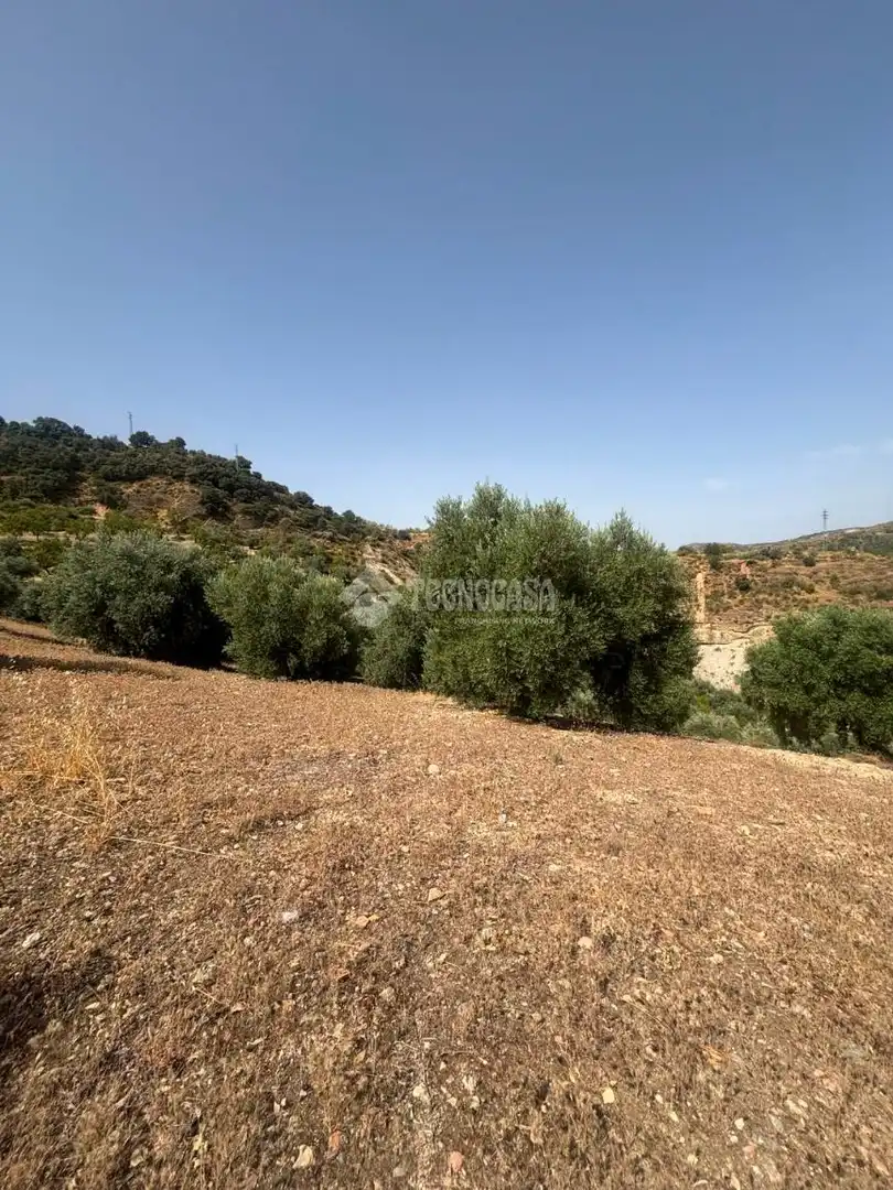Land for sale in Quéntar