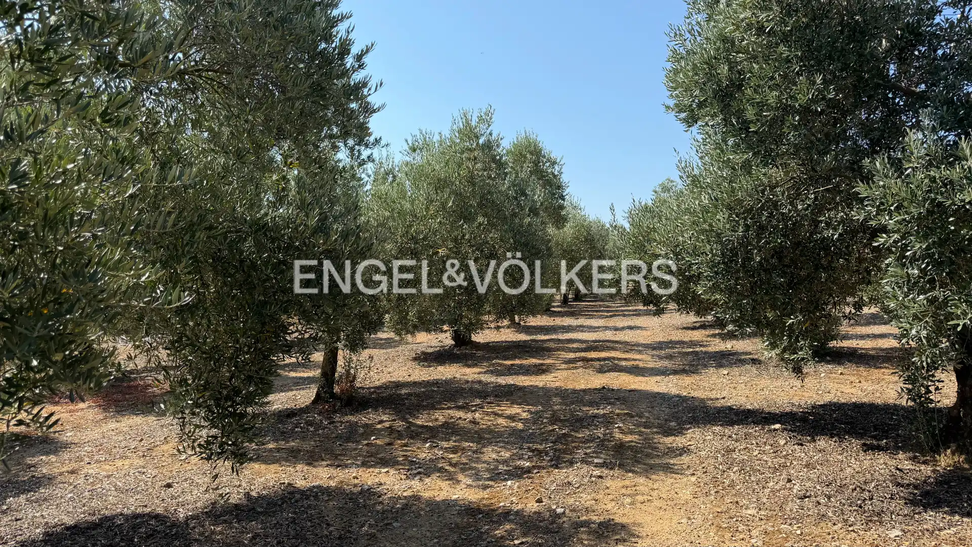 Land for sale in Pedret i Marzà