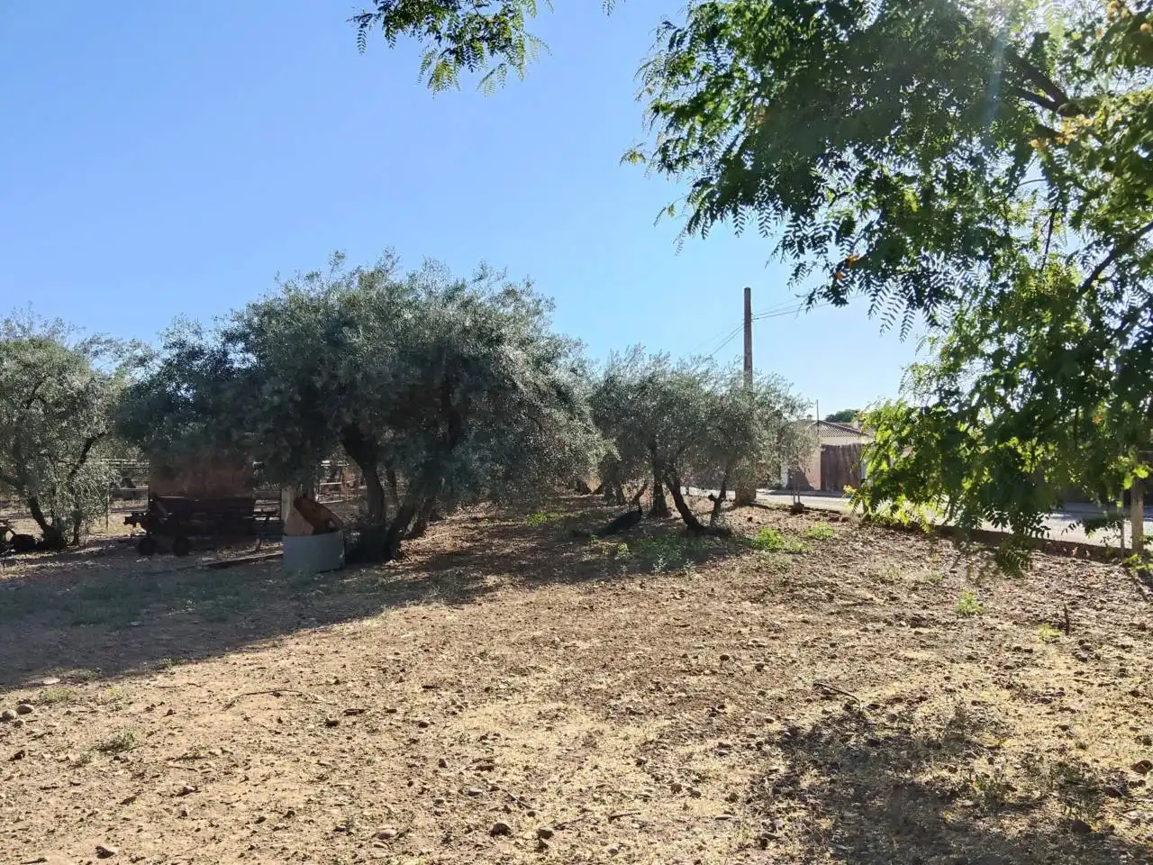 Houses for sale in Carmona  with Private garden and Terrace