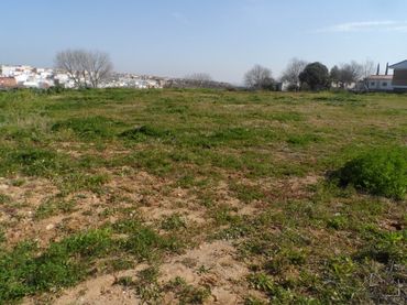 Terreno residenziale in vendita a Norte-Sierra
