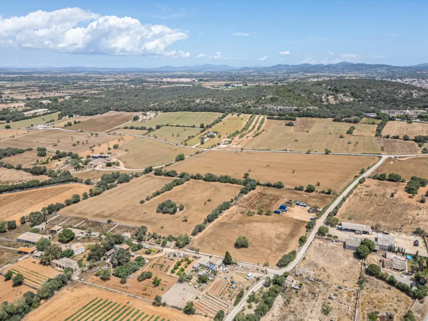 Terreno rustico in vendita a Felanitx Poble, imagen 17