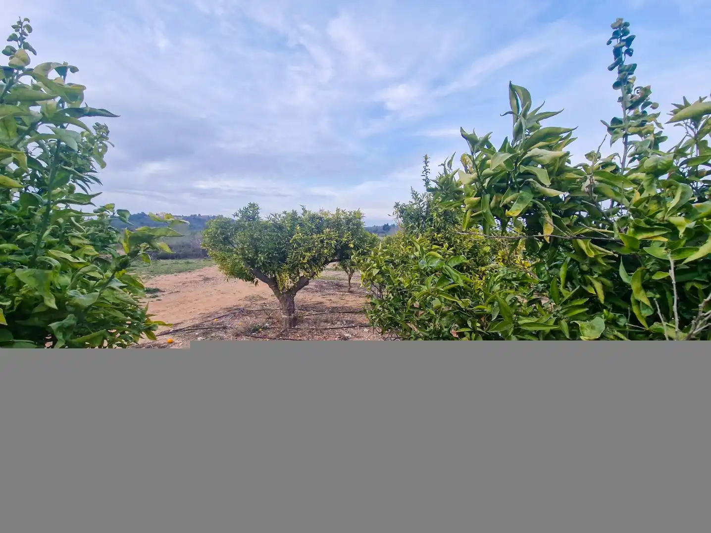 Finca rústica en venda en Càlig