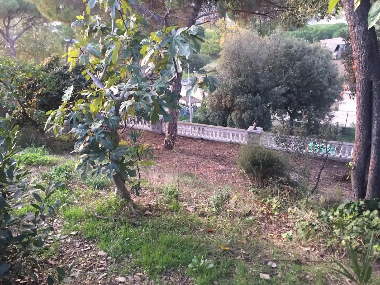 Terrenos y solares en venta en Pere Calders, imagen 13