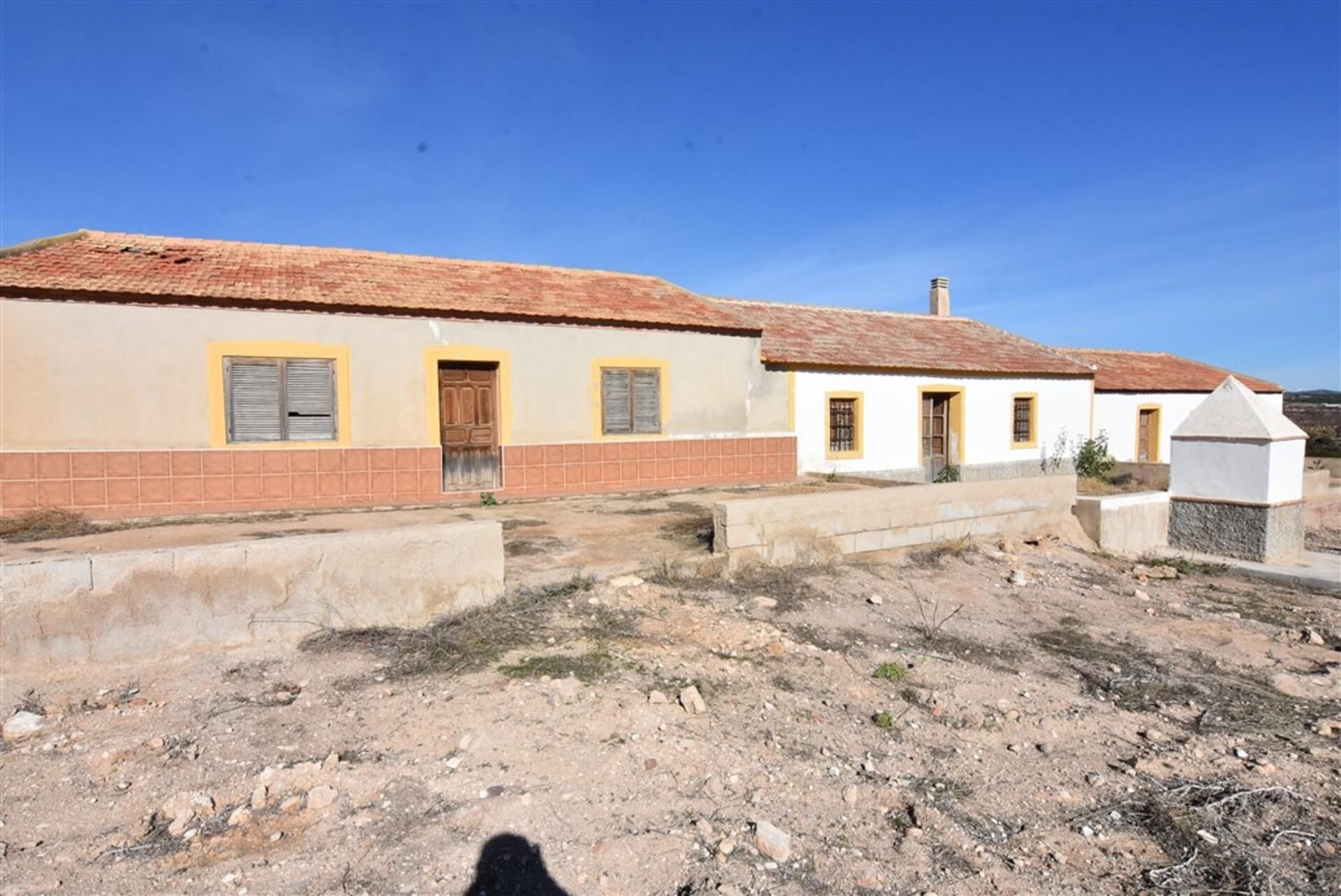 Exterior view of House or chalet for sale in Fuente Álamo de Murcia  with Private garden and Terrace