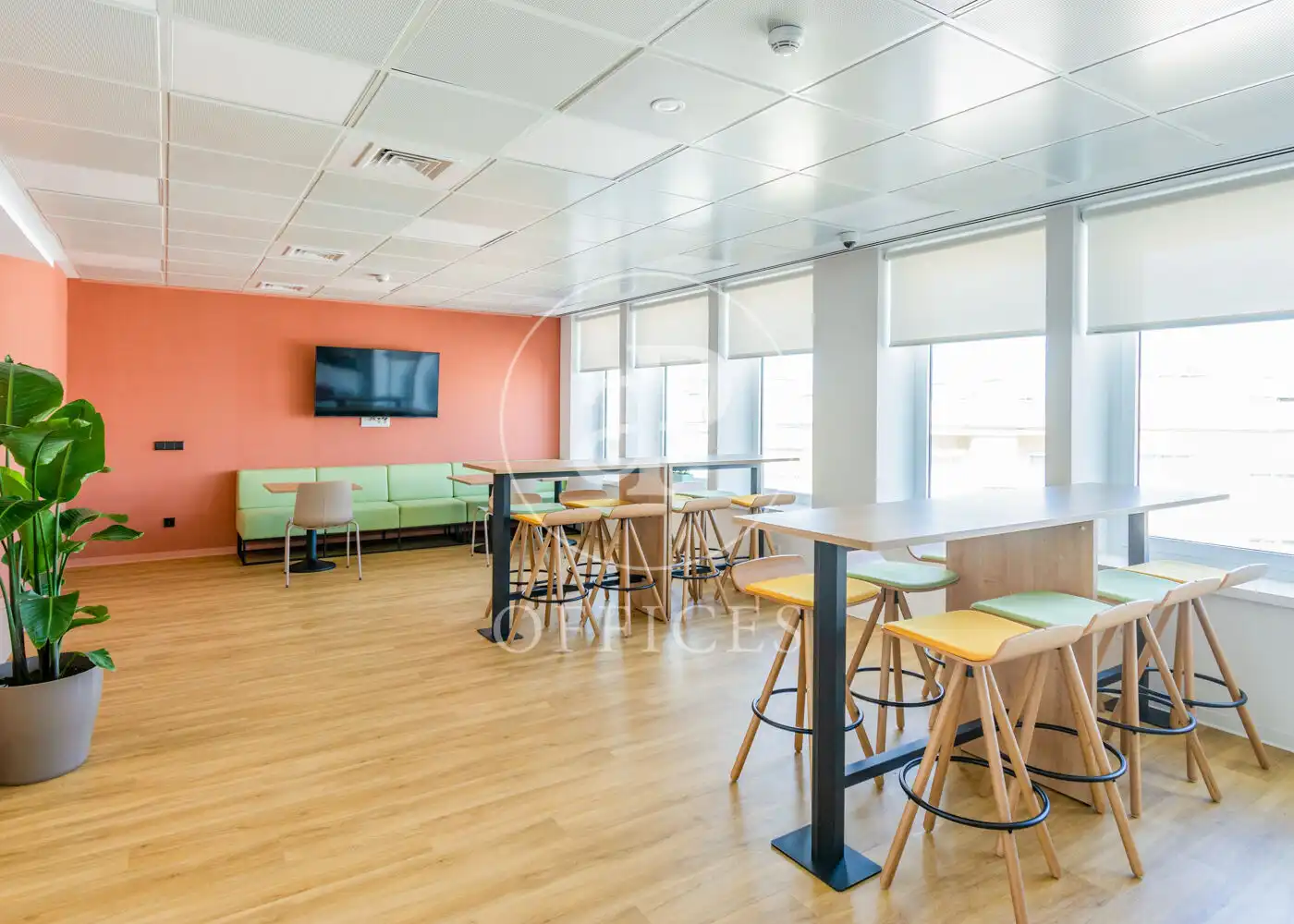 Büro zur Miete in P.º de la Castellana, imagen 10