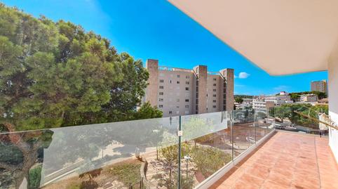 Photo 5 of Apartment for sale in Palmanova, Illes Balears