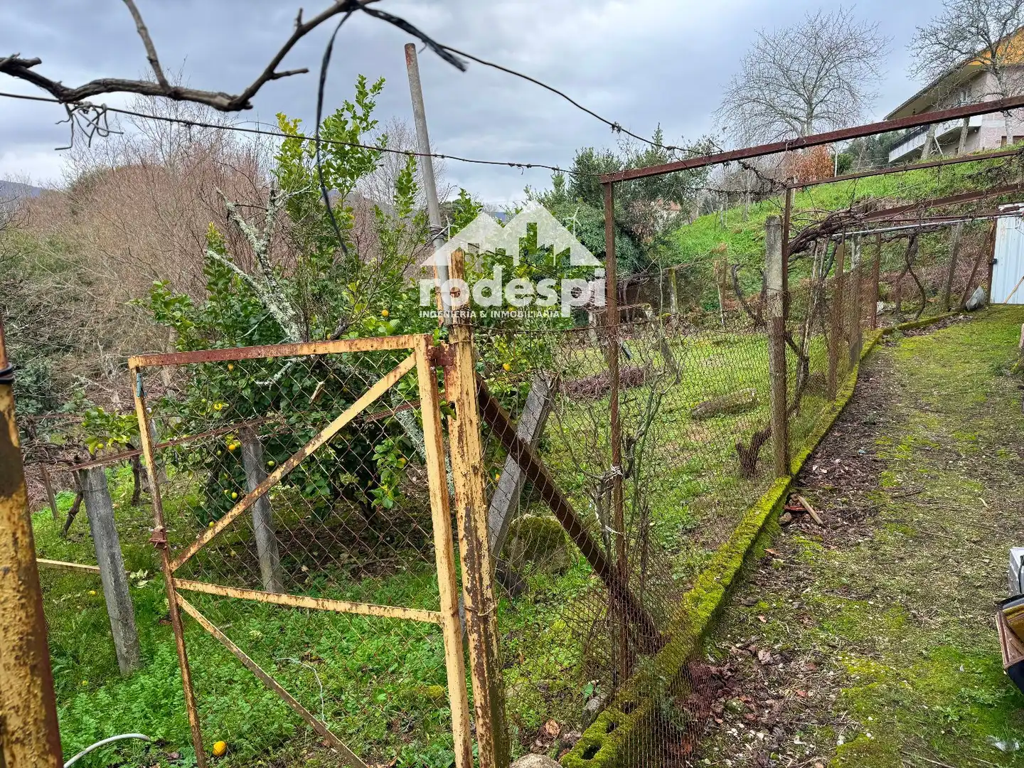 Casa o chalet en venta en Arbo