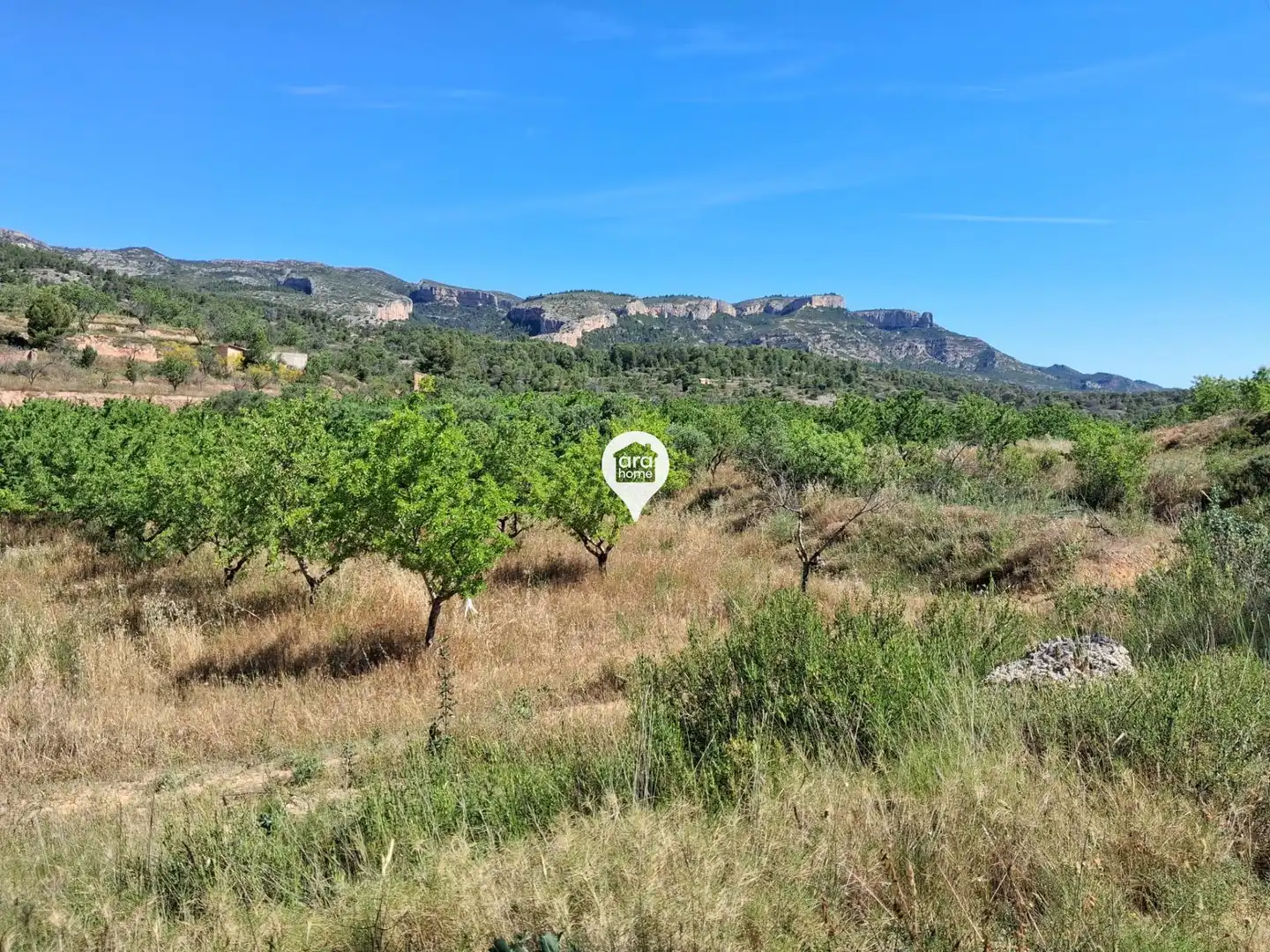 Land for sale in Madrid