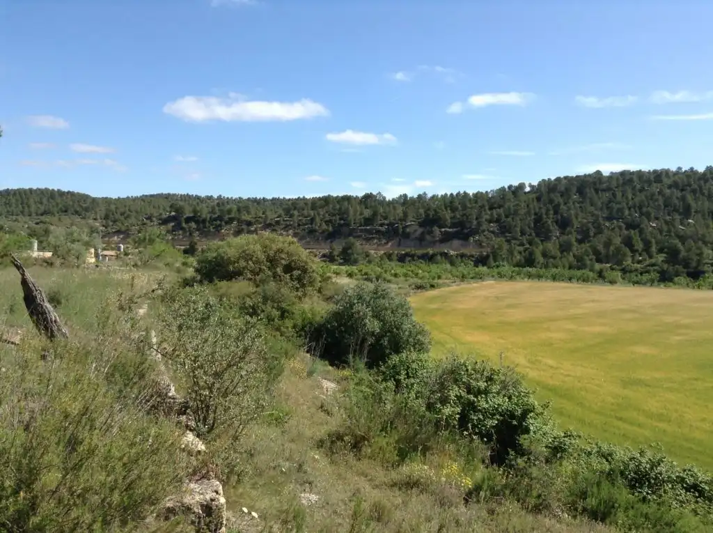 Terreni e lotti in vendita a Arens de Lledó, imagen 2