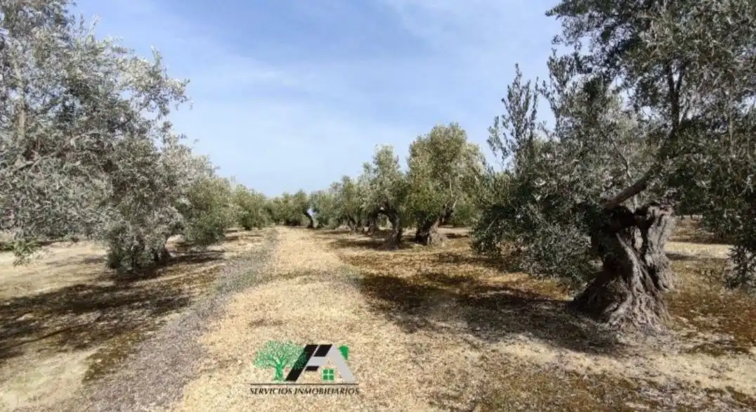 Terrenos y solares en venta en Úbeda, imagen 7