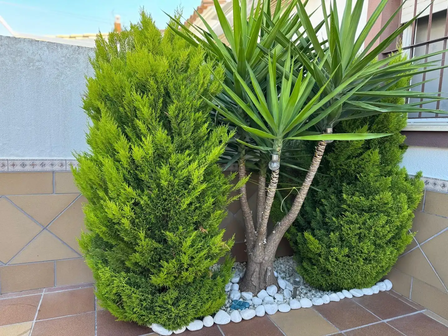 Garden of Detached homes for sale in Sanlúcar de Barrameda  with Air Conditioner and Storage room